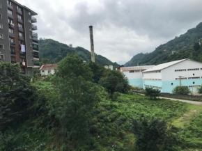Rize çayeli kiralık ev